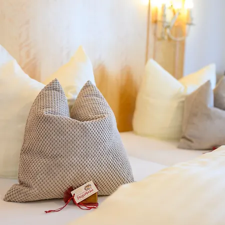 Hotel Stegerbräu Radstadt