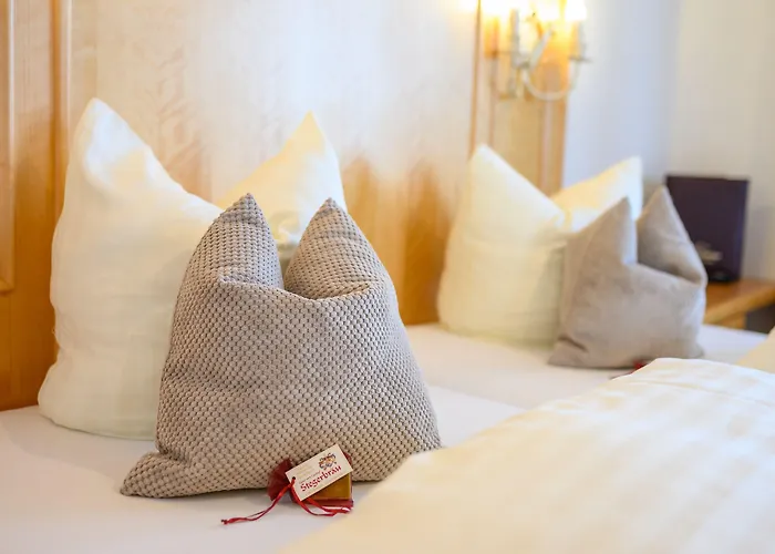 Otel Stegerbraeu Radstadt